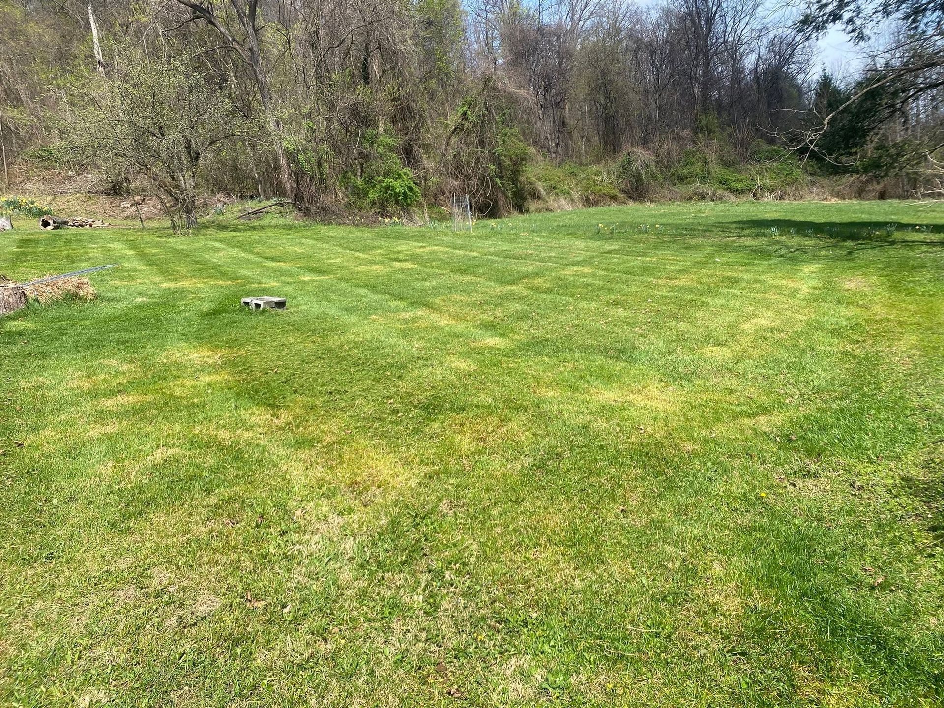 661788364 122225005754284515 5651243654410107536 n